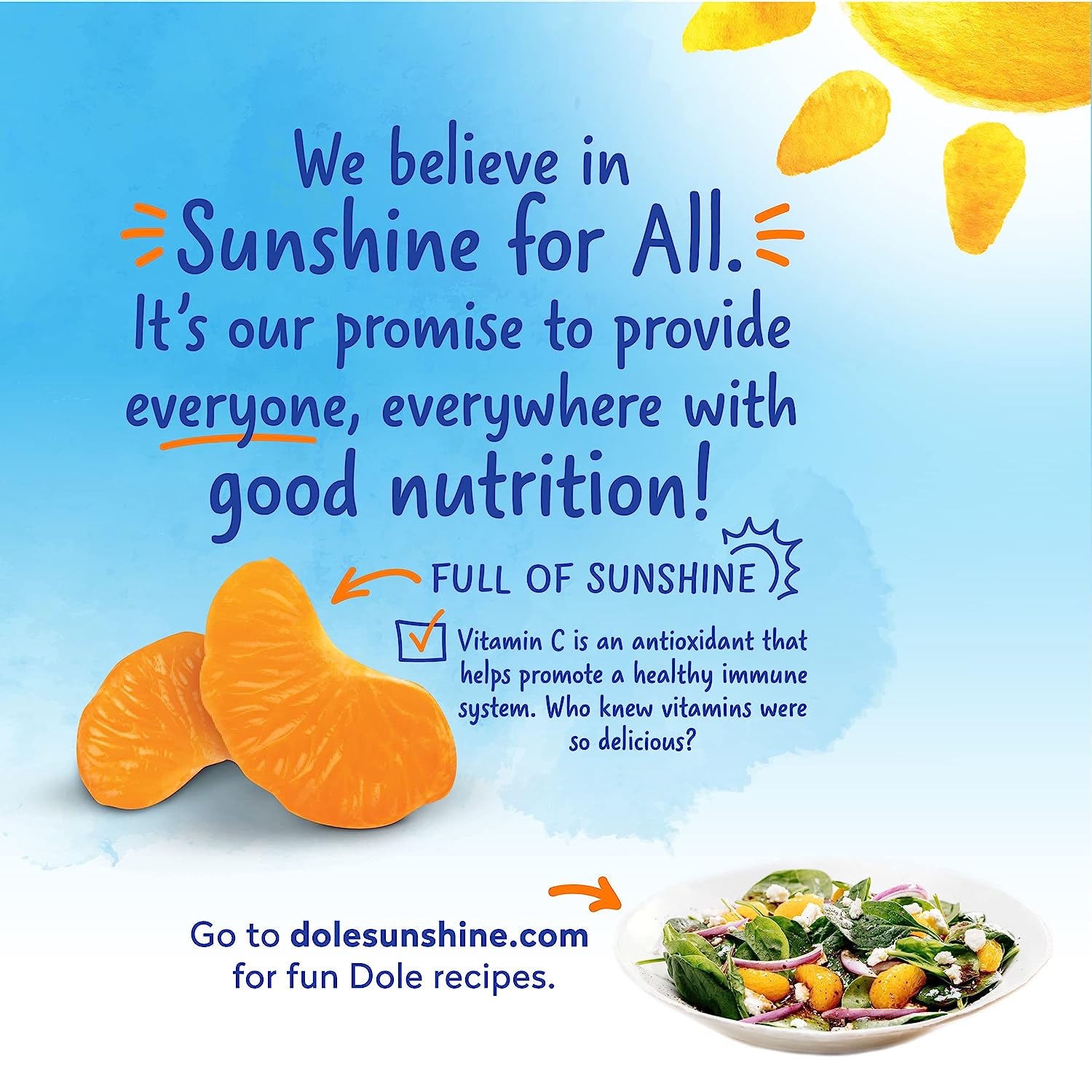 Dole® Jarred Mandarin Oranges in 100% Juice: 23.5 oz - Dole® Sunshine