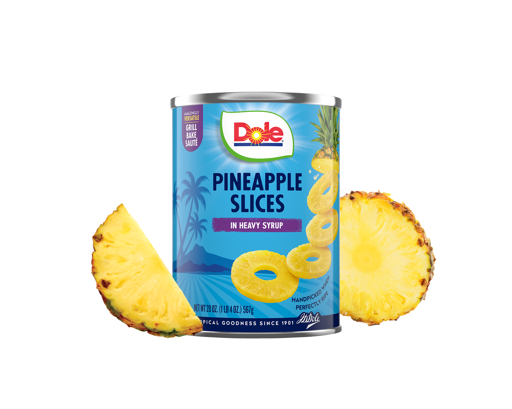 Dole® Canned Pineapple Slices in Heavy Syrup: 20 oz, Large - Dole 