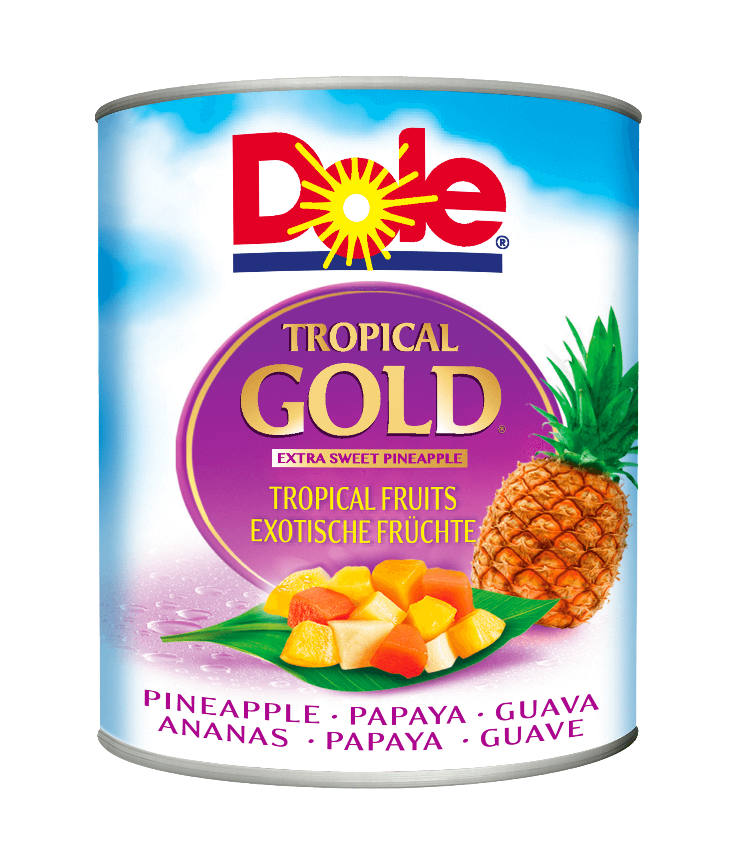 Morceaux de fruits en conserve Tropical gold Dole 432g - Dole